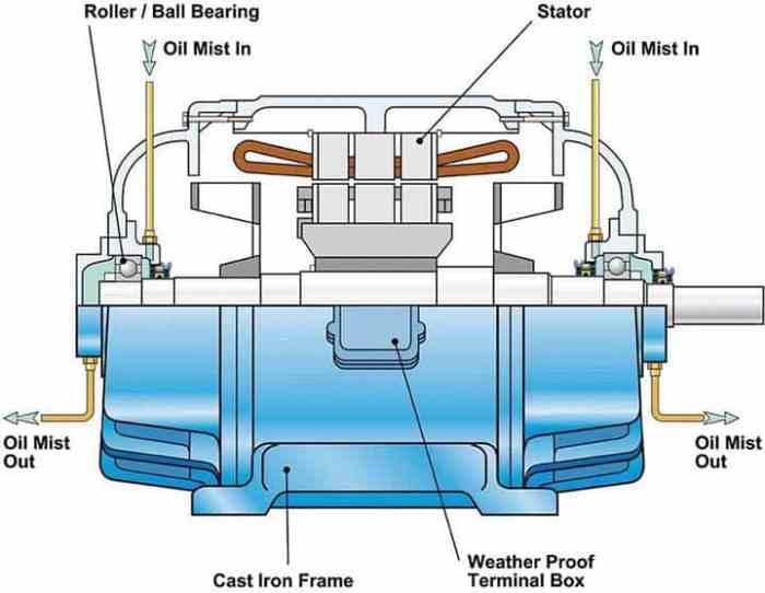 Guide To Lubricating Ac Fan Motors