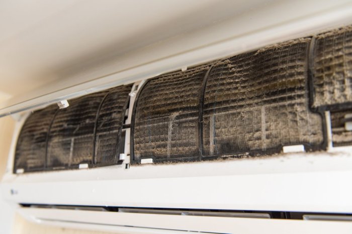 Mold conditioner hvac prevent purifier