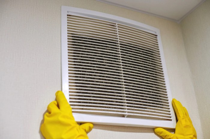 How to prevent mold growth in air conditioners