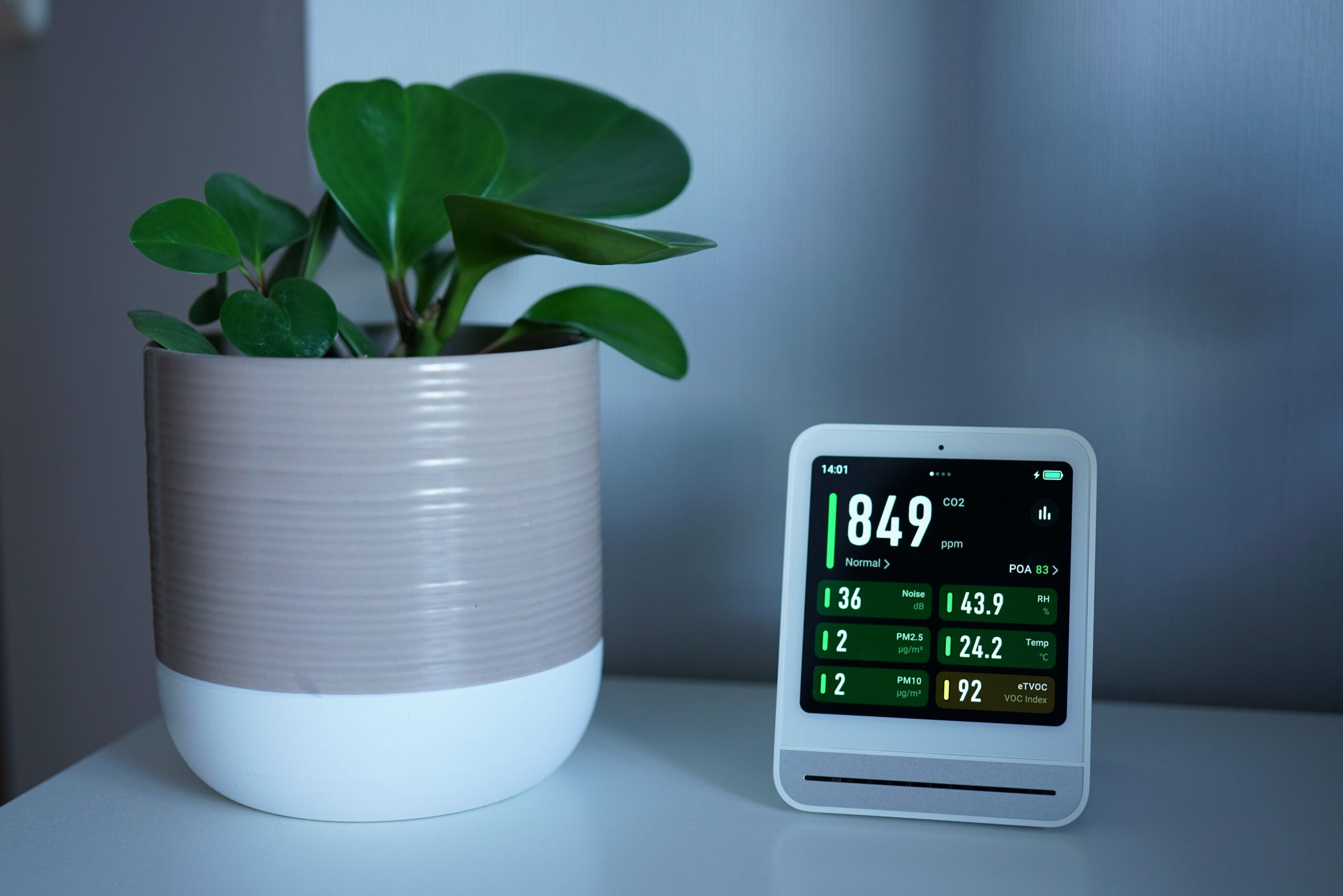 Humidity Ideal dalam Rumah: Angka Terbaik agar Rumah Tetap Sejuk & Sehat